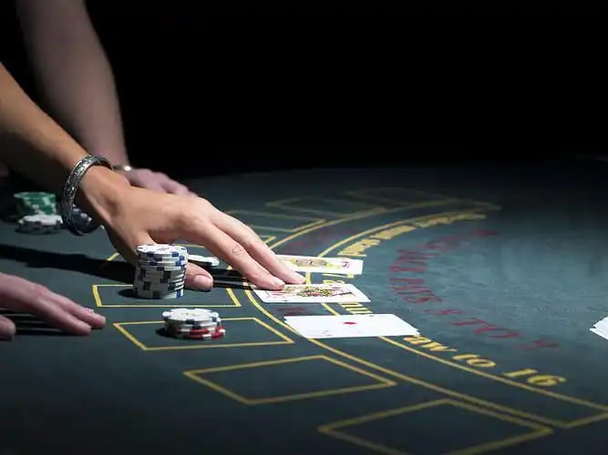 Antarmuka Singapore Pools di platform miya4d menampilkan pilihan undian dan jadwal